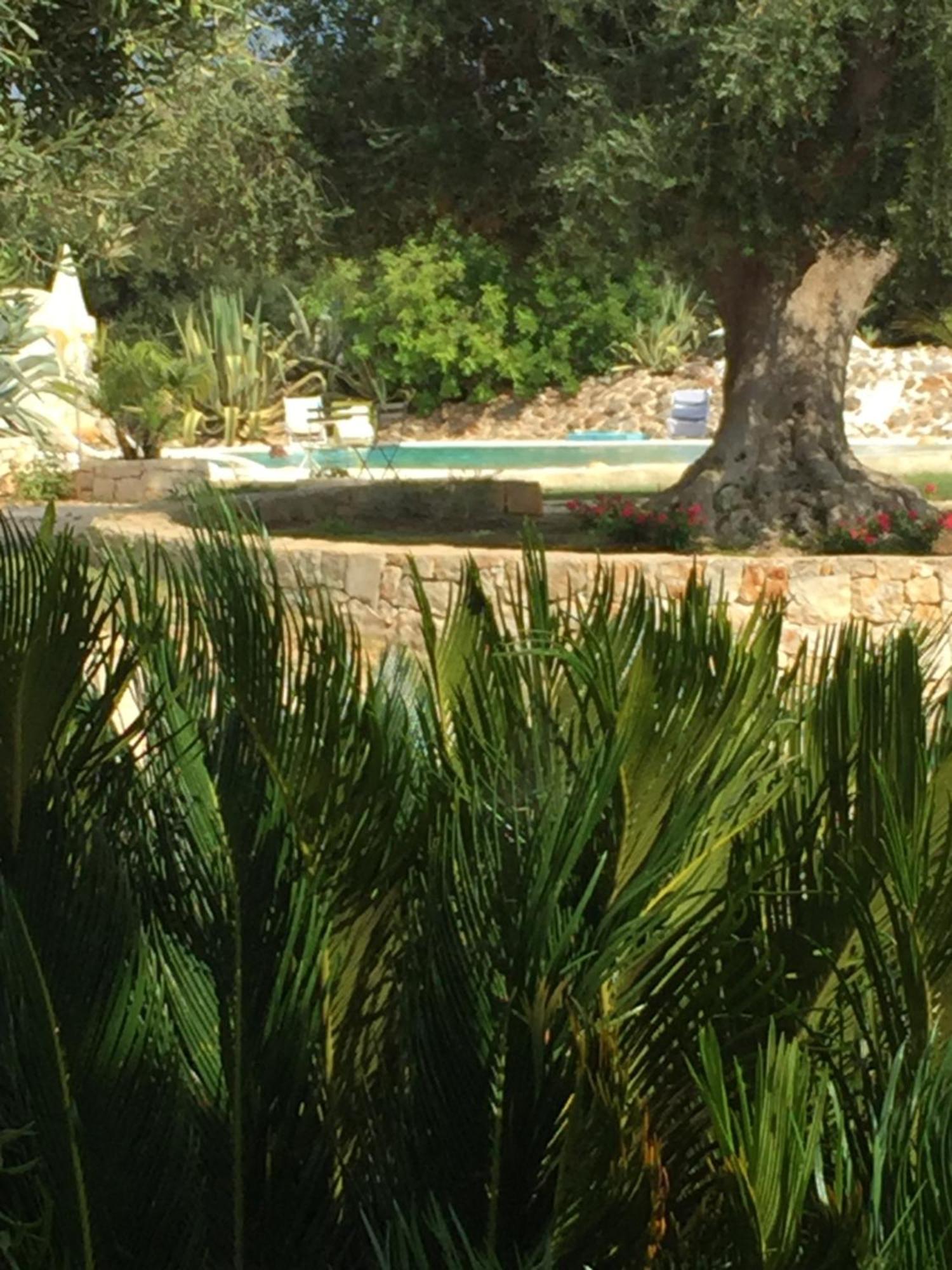 I Love Trullo - Country Boutique Apartments - Villa Laura Ostuni Exterior foto